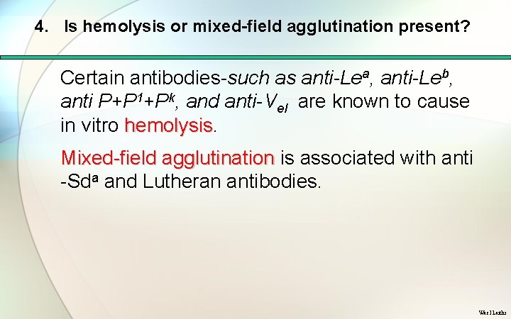 4. Is hemolysis or mixed-field agglutination present? Certain antibodies such as anti-Lea, anti-Leb, anti