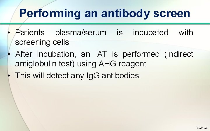 Performing an antibody screen • Patients plasma/serum is incubated with screening cells • After