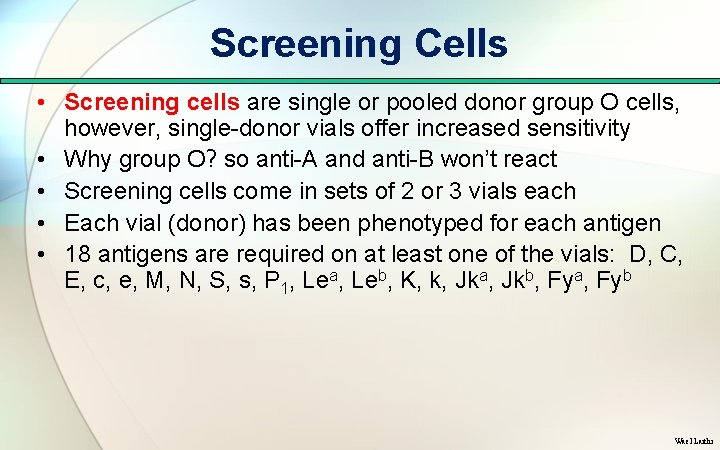 Screening Cells • Screening cells are single or pooled donor group O cells, however,