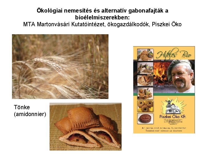 Ökológiai nemesítés és alternatív gabonafajták a bioélelmiszerekben: MTA Martonvásári Kutatóintézet, ökogazdálkodók, Piszkei Öko Tönke