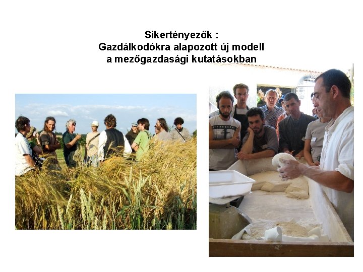Sikertényezők : Gazdálkodókra alapozott új modell a mezőgazdasági kutatásokban 