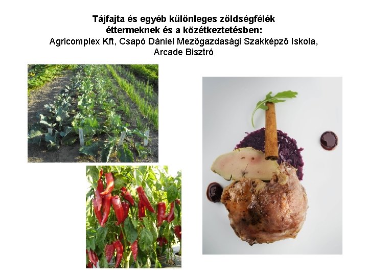 Tájfajta és egyéb különleges zöldségfélék éttermeknek és a közétkeztetésben: Agricomplex Kft, Csapó Dániel Mezőgazdasági