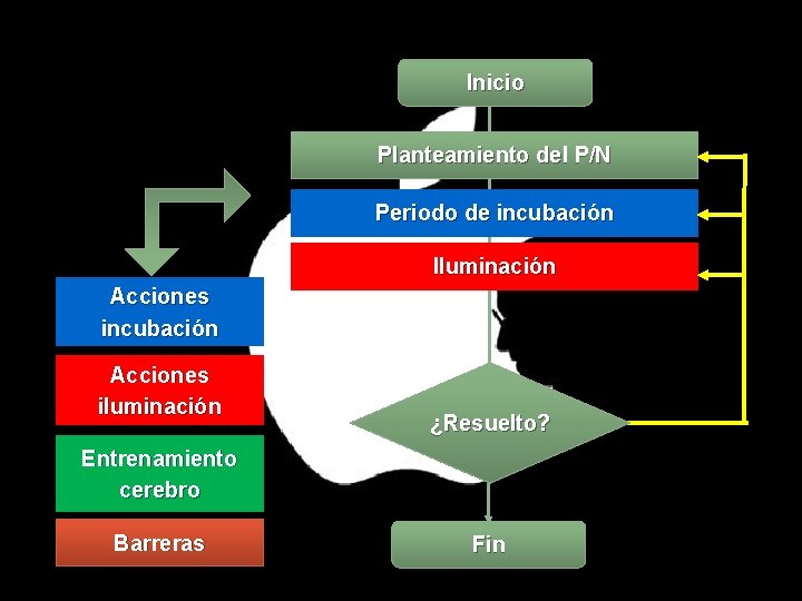 Inicio Planteamiento del P/N Periodo de incubación Iluminación Acciones incubación Acciones iluminación ¿Resuelto? Entrenamiento