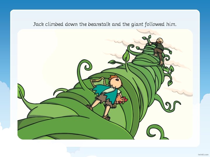 Jack climbed down the beanstalk and the giant followed him. 