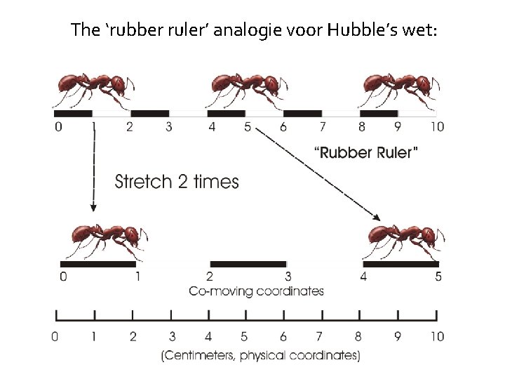 The ‘rubber ruler’ analogie voor Hubble’s wet: 