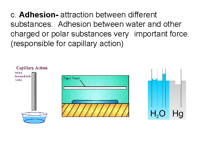 c. Adhesion- attraction between different substances. Adhesion between water and other charged or polar