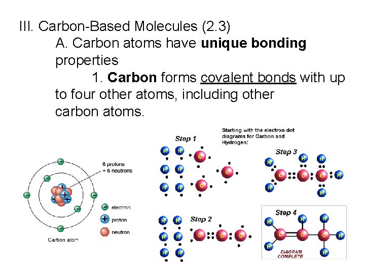 III. Carbon-Based Molecules (2. 3) A. Carbon atoms have unique bonding properties 1. Carbon