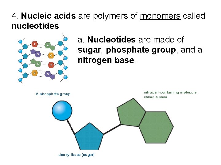 UNIT 1 INTRODUCING BIOLOGY Chapter 2 Chemistry of