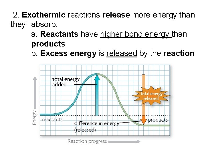 2. Exothermic reactions release more energy than they absorb. a. Reactants have higher bond