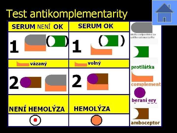 Test antikomplementarity NENÍ 