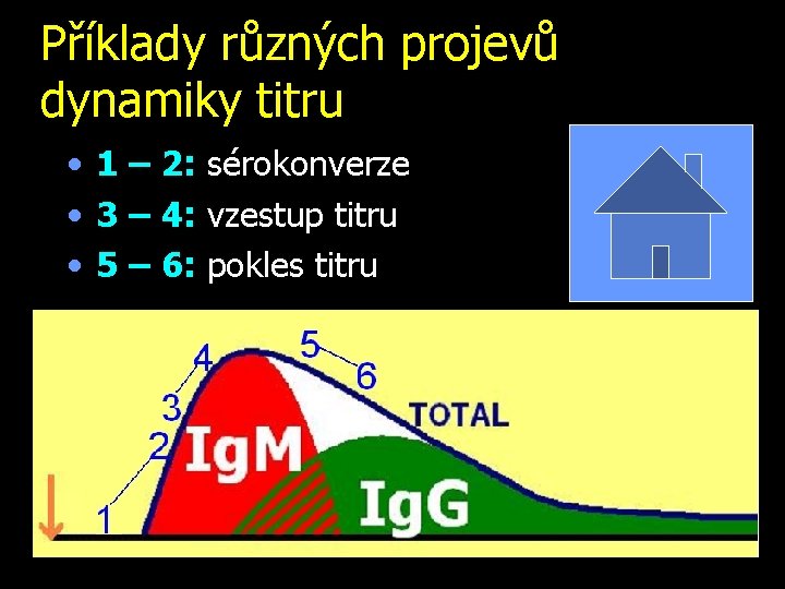 Příklady různých projevů dynamiky titru • 1 – 2: sérokonverze • 3 – 4: