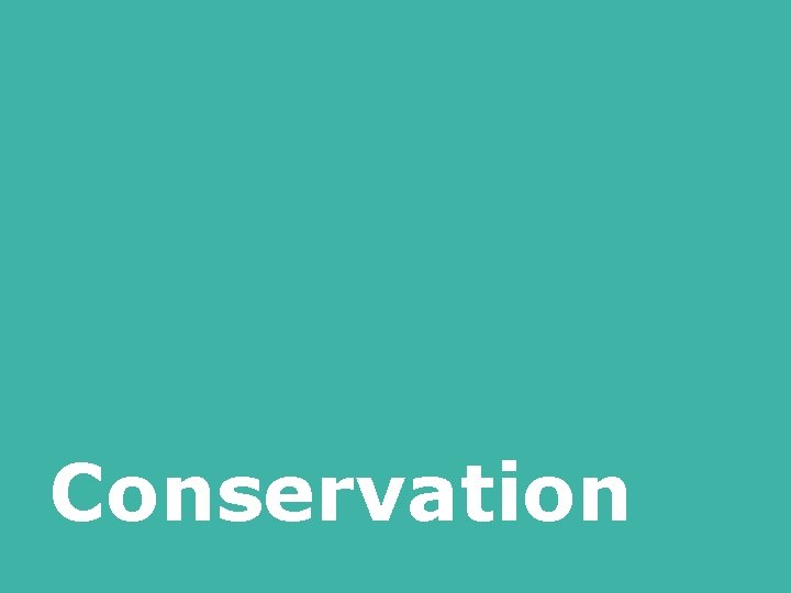 Conservation 