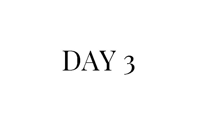 DAY 3 