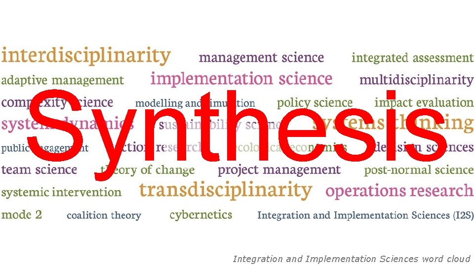 Synthesis Integration and Implementation Sciences word cloud 