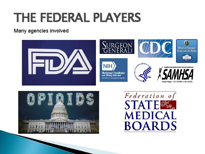 THE FEDERAL PLAYERS Many agencies involved 