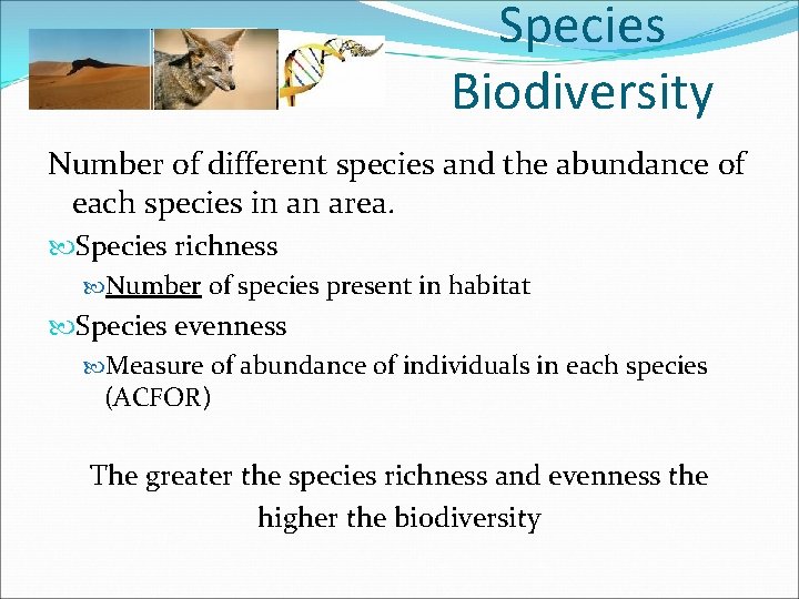 Species Biodiversity Number of different species and the abundance of each species in an