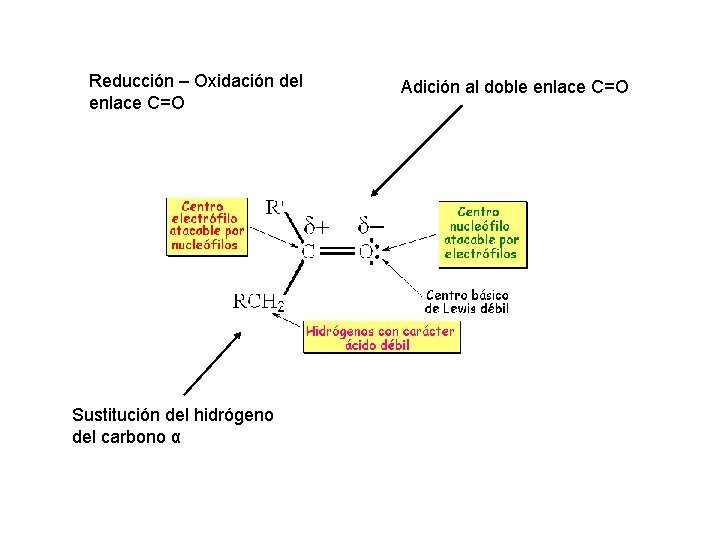 Reducción – Oxidación del enlace C=O Sustitución del hidrógeno del carbono α Adición al