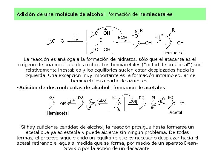 Adición de una molécula de alcohol: formación de hemiacetales La reacción es análoga a