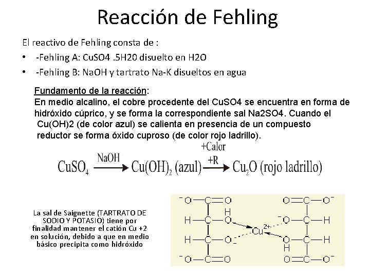 Reacción de Fehling El reactivo de Fehling consta de : • -Fehling A: Cu.