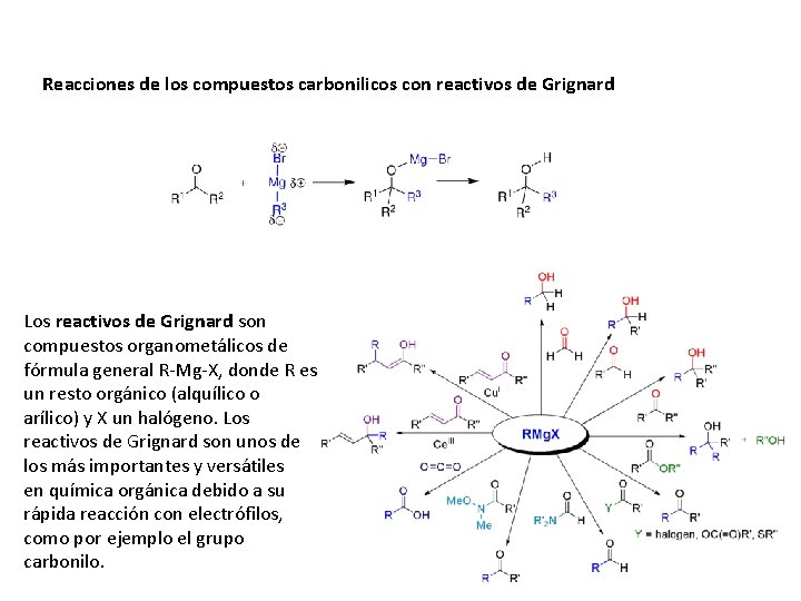 Reacciones de los compuestos carbonilicos con reactivos de Grignard Los reactivos de Grignard son