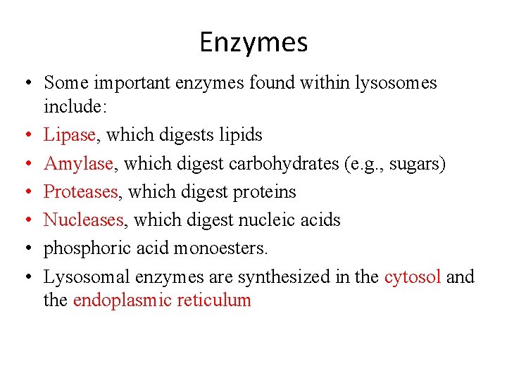 Enzymes • Some important enzymes found within lysosomes include: • Lipase, which digests lipids