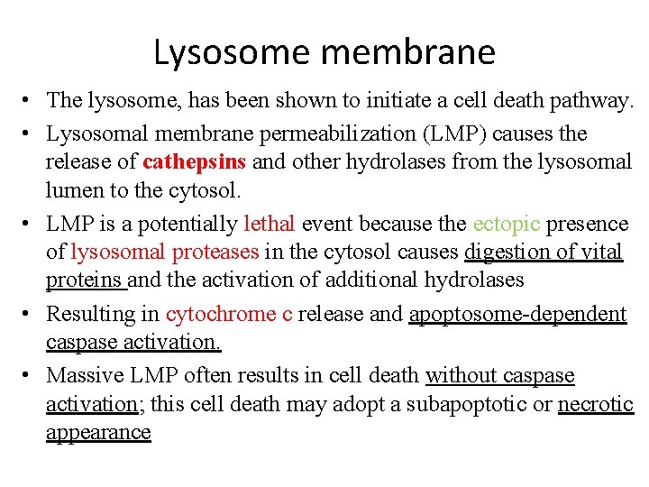 Lysosome membrane • The lysosome, has been shown to initiate a cell death pathway.