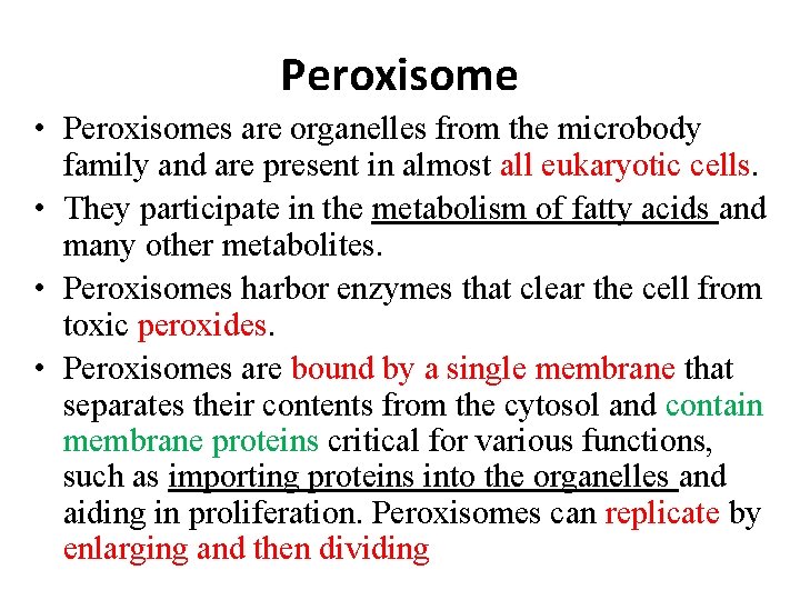 Peroxisome • Peroxisomes are organelles from the microbody family and are present in almost