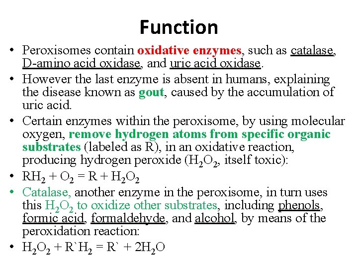 Function • Peroxisomes contain oxidative enzymes, such as catalase, D-amino acid oxidase, and uric