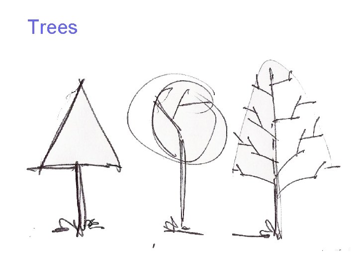 Trees 