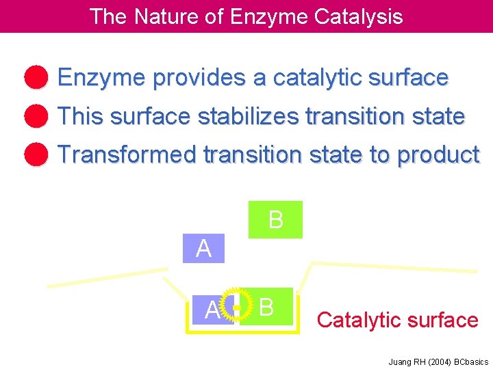 The Nature of Enzyme Catalysis ● Enzyme provides a catalytic surface ● This surface