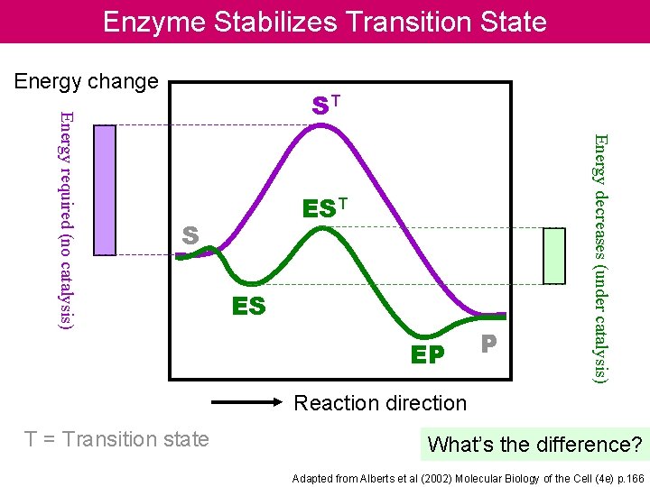 Stickase Substrate Transition state X Product If enzyme