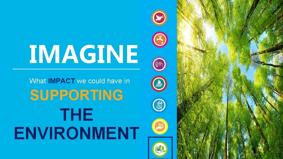 16 IMAGINE What IMPACT we could have in SUPPORTING THE ENVIRONMENT 