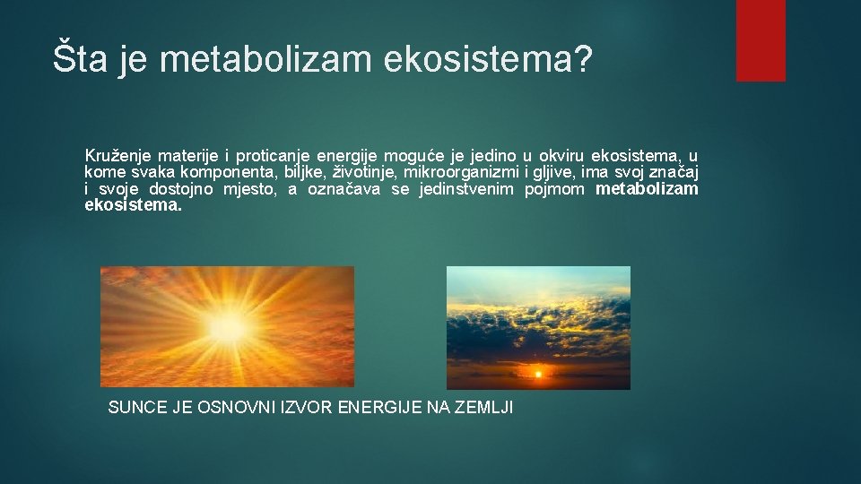 Šta je metabolizam ekosistema? Kruženje materije i proticanje energije moguće je jedino u okviru