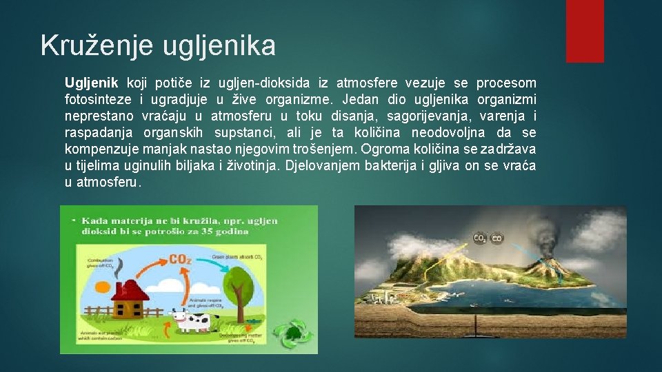 Kruženje ugljenika Ugljenik koji potiče iz ugljen-dioksida iz atmosfere vezuje se procesom fotosinteze i