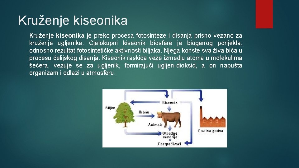 Kruženje kiseonika je preko procesa fotosinteze i disanja prisno vezano za kruženje ugljenika. Cjelokupni