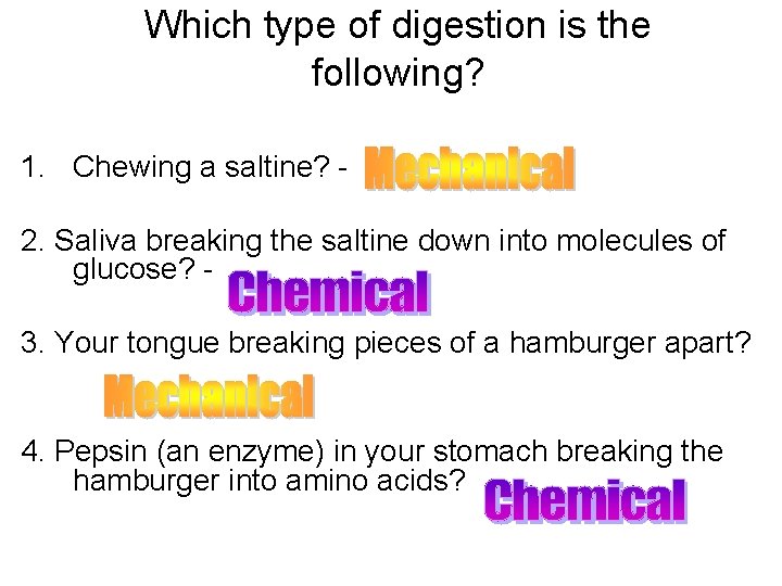 Which type of digestion is the following? 1. Chewing a saltine? 2. Saliva breaking Which type of digestion is the following? 1. Chewing a saltine? 2. Saliva breaking