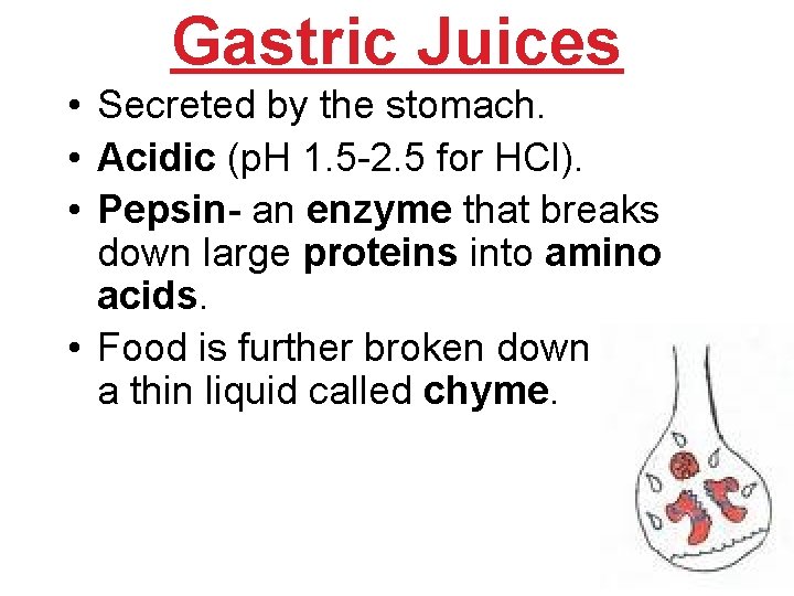 Gastric Juices • Secreted by the stomach. • Acidic (p. H 1. 5 -2. Gastric Juices • Secreted by the stomach. • Acidic (p. H 1. 5 -2.