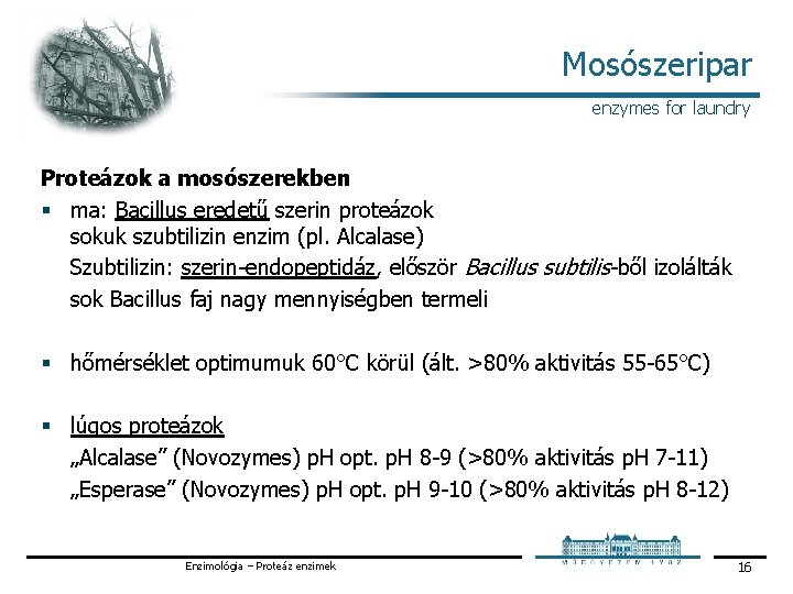 Mosószeripar enzymes for laundry Proteázok a mosószerekben § ma: Bacillus eredetű szerin proteázok sokuk