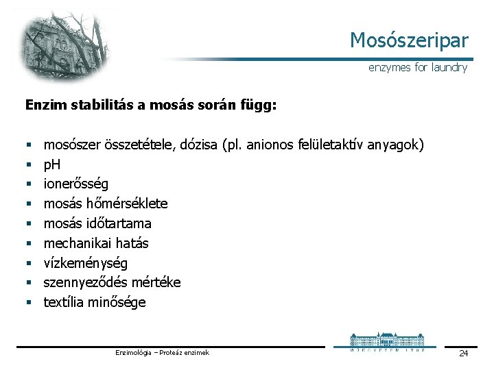 Mosószeripar enzymes for laundry Enzim stabilitás a mosás során függ: § § § §