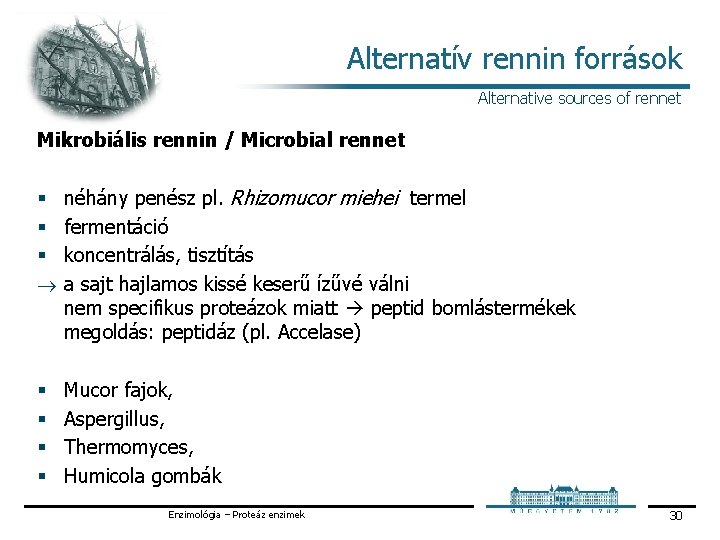 Alternatív rennin források Alternative sources of rennet Mikrobiális rennin / Microbial rennet § §