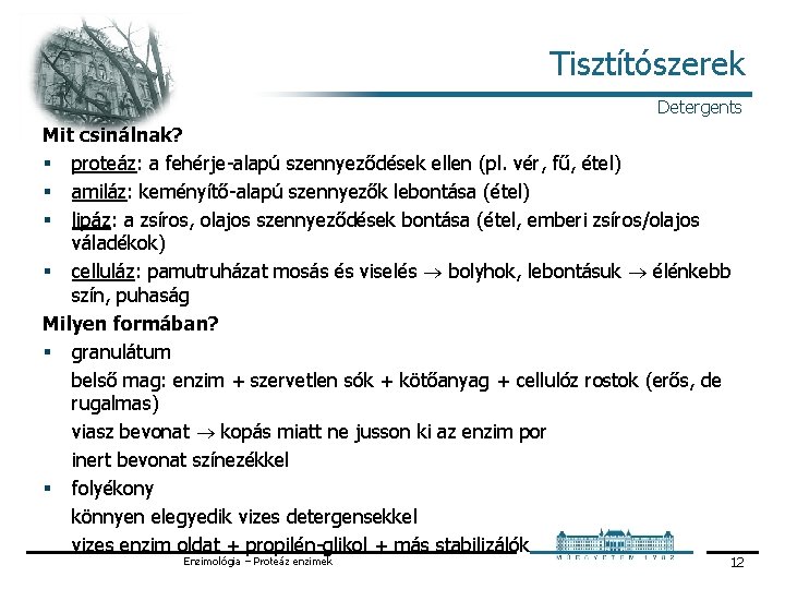 Tisztítószerek Detergents Mit csinálnak? § proteáz: a fehérje alapú szennyeződések ellen (pl. vér, fű,