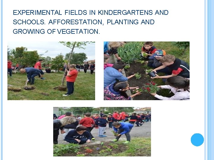 EXPERIMENTAL FIELDS IN KINDERGARTENS AND SCHOOLS. AFFORESTATION, PLANTING AND GROWING OF VEGETATION. 