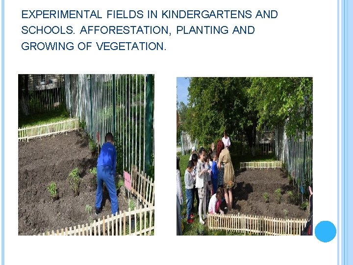 EXPERIMENTAL FIELDS IN KINDERGARTENS AND SCHOOLS. AFFORESTATION, PLANTING AND GROWING OF VEGETATION. 