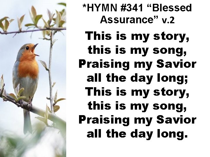 *HYMN #341 “Blessed Assurance” v. 2 This is my story, this is my song,