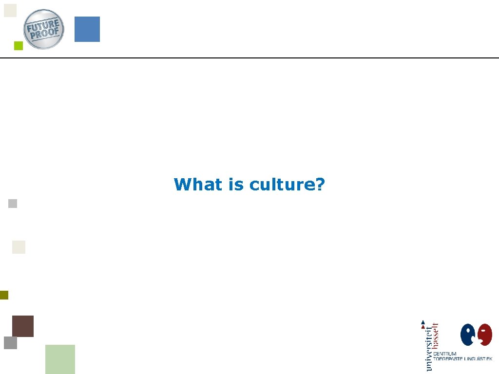 What is culture? 