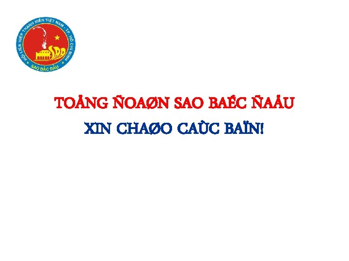 TOÅNG ÑOAØN SAO BAÉC ÑAÅU XIN CHAØO CAÙC BAÏN! 