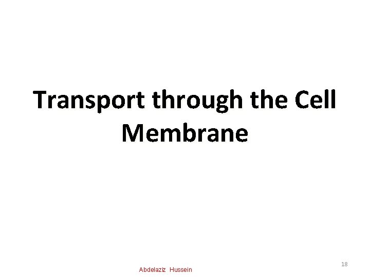 Transport through the Cell Membrane Abdelaziz Hussein 18 