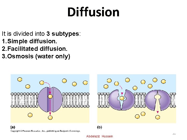 Diffusion It is divided into 3 subtypes: 1. Simple diffusion. 2. Facilitated diffusion. 3.