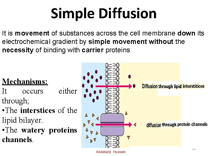 Simple Diffusion It is movement of substances across the cell membrane down its electrochemical