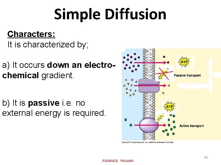Simple Diffusion Characters: It is characterized by; a) It occurs down an electrochemical gradient.